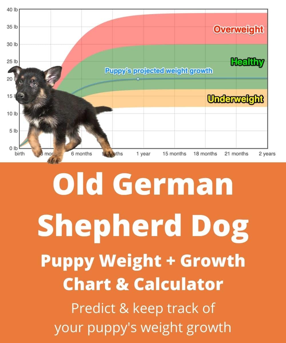old-german-shepherd-dog Puppy Weight Growth Chart